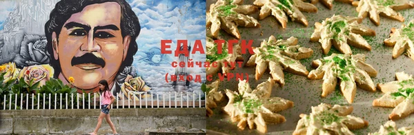 прущие грибы Хадыженск