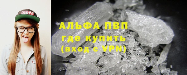 сатива Ачинск