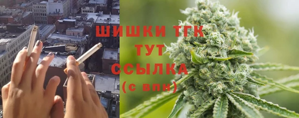 прущие грибы Хадыженск